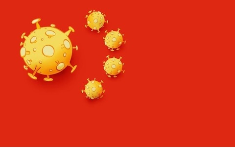 China Wuhan Coronavirus, Vũ Hán viêm phổi cấp tính