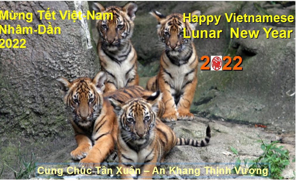 Tết Việt-Nam Nhâm Dần 2022 | Happy Vietnamese Lunar New Year 2022 | Tet Parade Tiger 2022 | Nhâm-Dần 2022