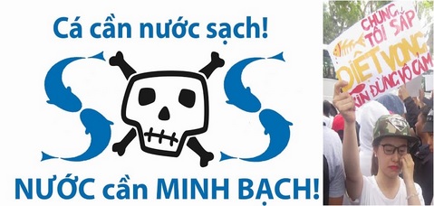 cá cần nước sạch, nước cần minh bạch, xuống đường vì môi trường Việt Nam