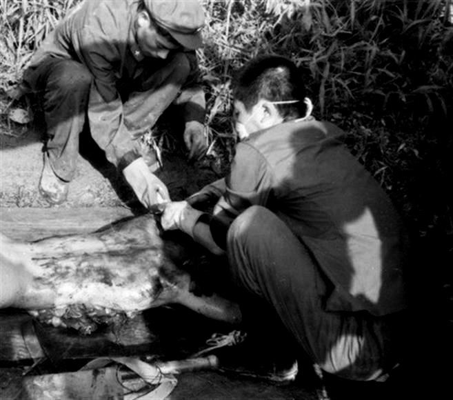 prisoner of border war chinese communist and vietnamese communist 1979-1989