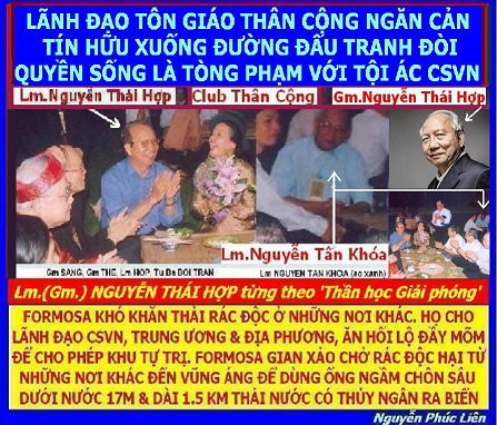 vũng áng hà tĩnh formosa, hội đồng giám mục