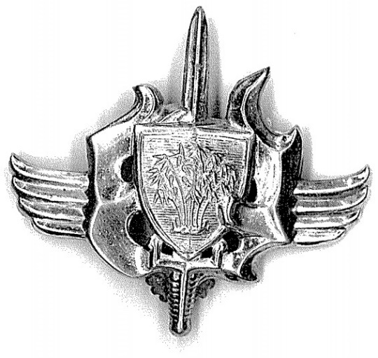 quân sử, quân sự Việt Nam, huy hiệu quân đội quốc gia Việt Nam Cộng Hòa