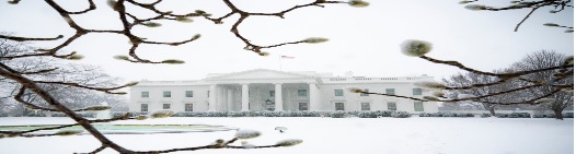 the white house