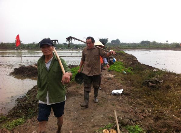 nông dân văn-giang ra đồng