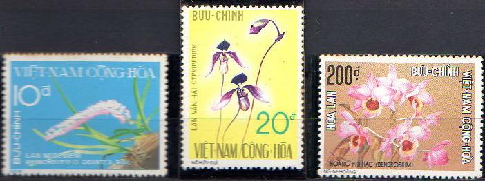 các loại hoa lan việt nam đà lạt, cacloaihoalanvietnamdalat