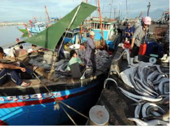 ngư dân việt nam, chủ quyền biển đảo, hoàng sa, trường sa