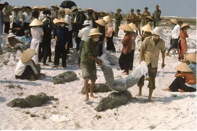 viet nam war, la guerre du viet nam, hue massacre