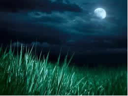 ánh trăng khuya