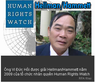 vi đức hồi, human rights watch, hellman, hammett