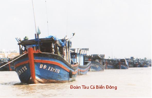 vietnamese fishing vs fishing fraud chinese, Greenpeace Africa, exposed fishing fraud in west africa by chinese fishing companies, lộ diện các đoàn tàu đánh cá lậu của Tàu cộng tại Tây Phi Châu