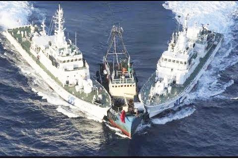 coast guard chinese destroy fishing vietnamese boat in exclusive economic zone of Vietnam, Greenpeace Africa, exposed fishing fraud in west africa by chinese fishing companies, lộ diện các đoàn tàu đánh cá lậu của Tàu cộng tại Tây Phi Châu