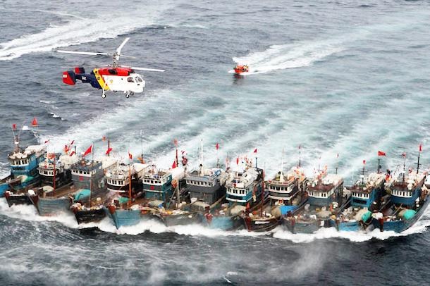 coast guard south Korean destory fishing fraud chinese in south Korean sea, Dong-A Ilbo, Greenpeace Africa, exposed fishing fraud in west africa by chinese fishing companies, lộ diện các đoàn tàu đánh cá lậu của Tàu cộng tại Tây Phi Châu