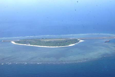 zhony island